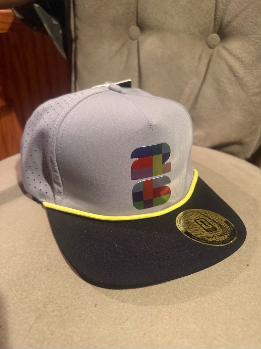 Multicolor Logo Gray & Black Men's Snapback Hat